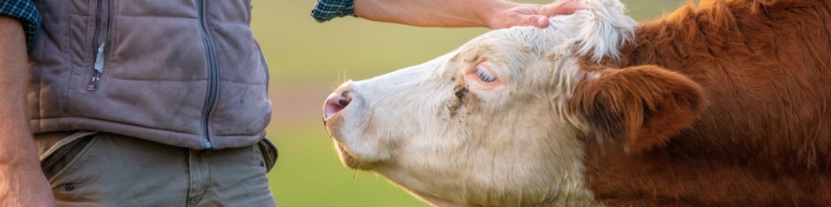 Meet Animal Health Sales Specialist, Tony Morris Meet Animal Health Sales Specialist, Tony Morris