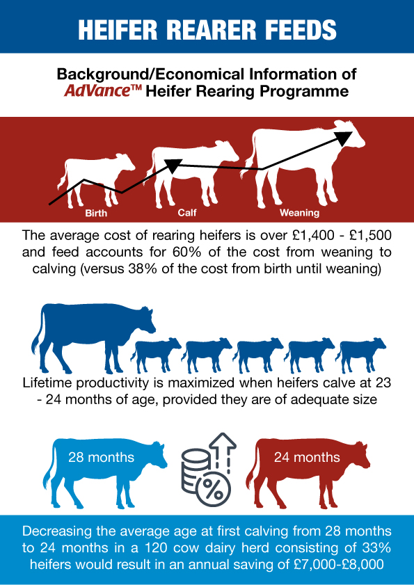 Heifer Rearer Feeds | Wynnstay Agriculture