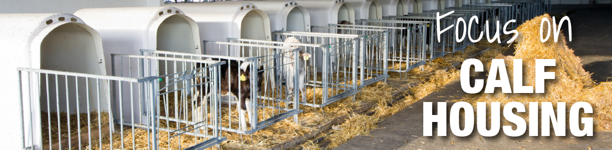 Calf Housing Blog | Wynnstay Agri-Hub