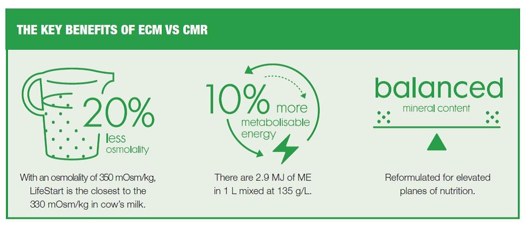 The benefits of energised calf milk vs calf milk replacer