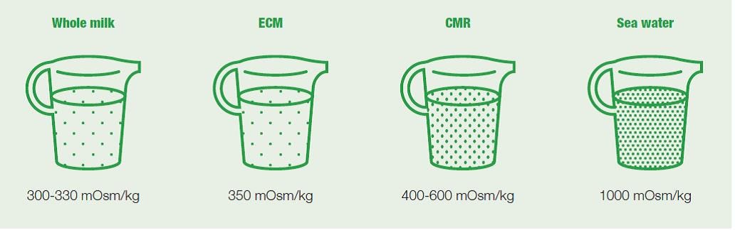 The benefits of energised calf milk vs calf milk replacer The benefits of energised calf milk vs calf milk replacer