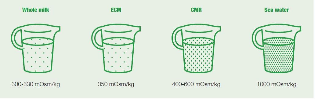 The benefits of energised calf milk vs calf milk replacer