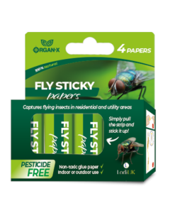 Fly Papers (4 Pack)