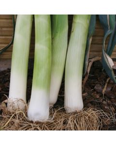 Country Value Leek Musselburgh