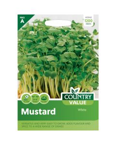 Country Value Mustard White