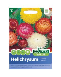 Country Value Helichrysum Double Mixed