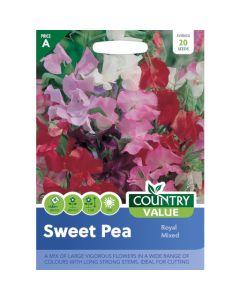 Country Value Sweet Pea Royal Mixed