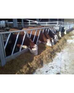 IAE Diagonal Feed Fence