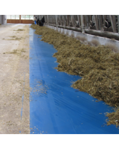 Wynnscreed Blue