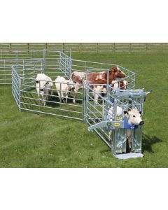 IAE Portable Cattle Handling Starter Kit