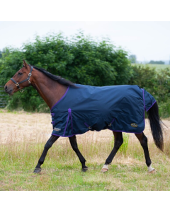 Trojan Lite-Weight Standard Turnout Rug 