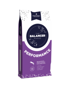 Dodson & Horrell Performance Balancer 15kg