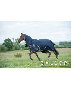 Gallop Trojan 100gm Turnout Rug