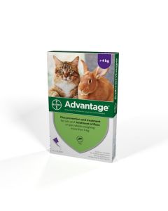 Advantage Cat/Rabbit 4 Pack