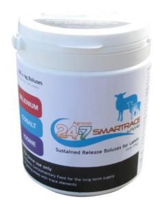 24-7 Smartrace Lamb Bolus