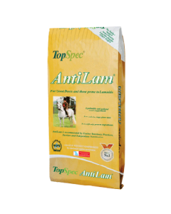 TopSpec AntiLam 15kg