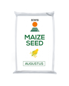 KWS Augustus Initio Maize Seed