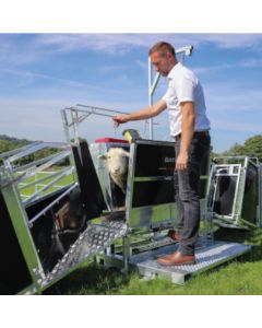 Bateman Sheep Grip Unit with entry ramp (Optional: 3-way drafting ramp)