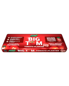 Big Tom Peat-Free Large Planter