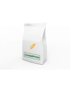 Champion