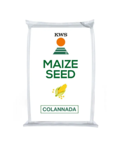 KWS Colannada Maize Seed