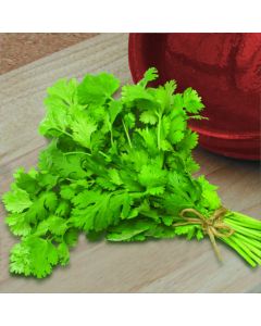 Country Value Coriander