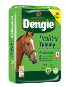 Dengie Healthy Tummy
