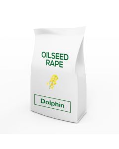 LG Dolphin Oilseed Rape Seed (Hybrid)