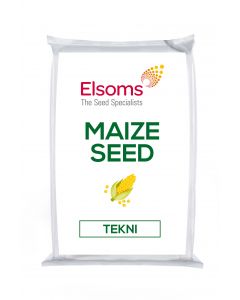 Tekni Maize Seed