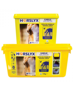 Horslyx Garlic Stable Lick 