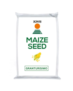 KWS Granturisimo Maize Seed