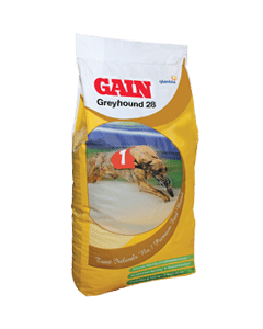 Gain Greyhound 28 - 15kg