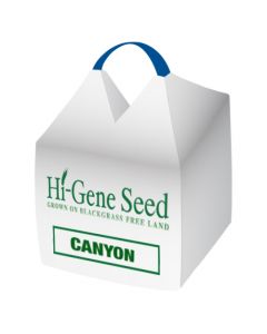 Canyon Spring Oats Seed