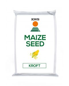 KWS Kroft Korit Maize Seed