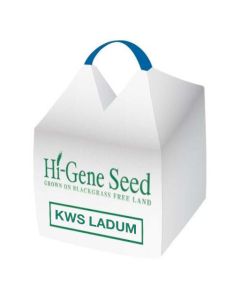 KWS Ladum Wheat Seed