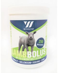 Lamb Bolus