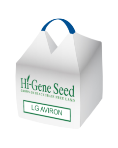 LG Aviron Oilseed Rape Seed (Hybrid)