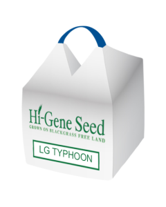LG Typhoon Wheat Seed