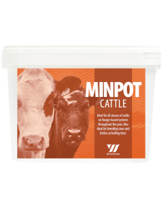 MinPot Cattle