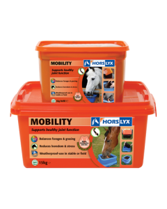 Horslyx Mobility Stable Lick 15KG