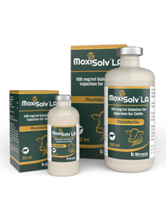 Moxisolv 10% LA Cattle Injection