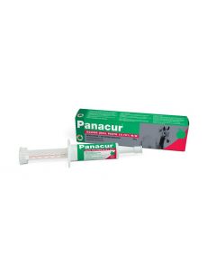 Panacur Equine Paste