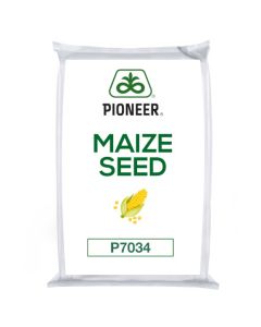 P7034 Force Korit RedigoM Lumibio Maize Seed