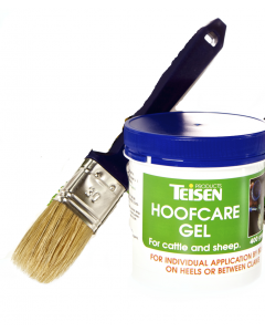 Teisen Hoofcare Gel & Brush