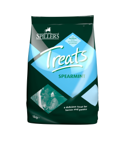 Spillers Spearmint Treats - 1kg