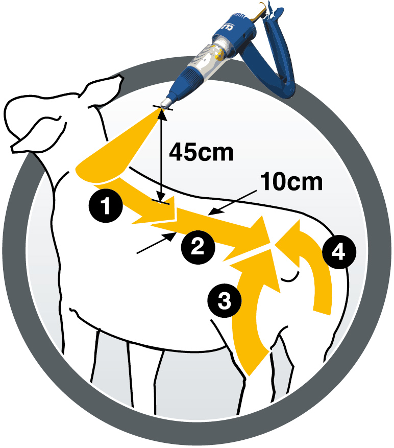 4 Stroke Method 4 Stroke Method