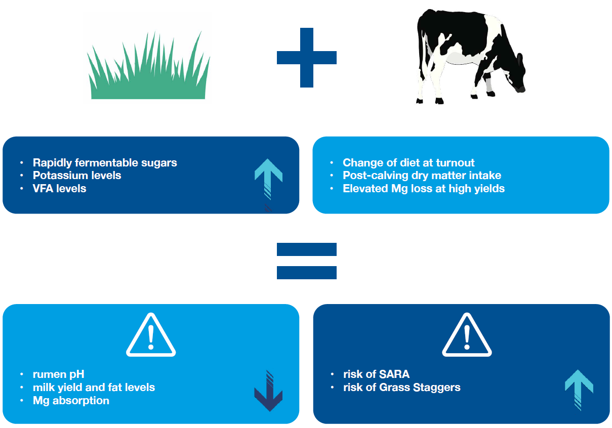 Challenges faced at spring grass