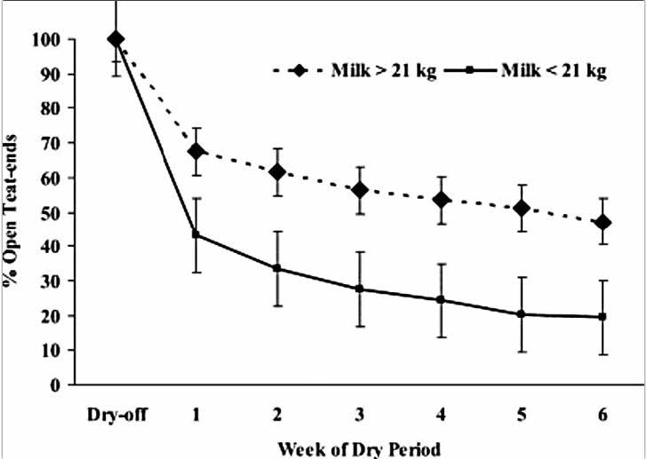 Milk yield at dry off