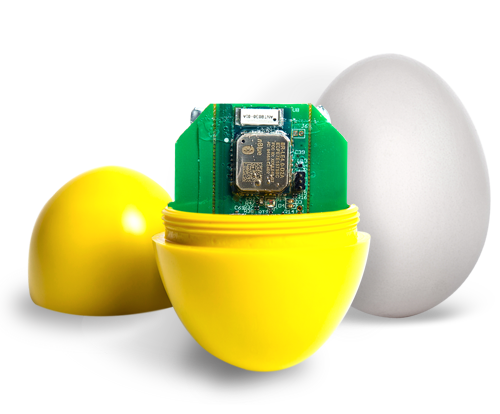 CracklessEgg™ CracklessEgg™