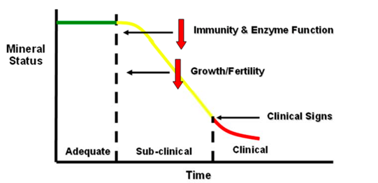 General Effect of Mineral Deficiencies General Effect of Mineral Deficiencies